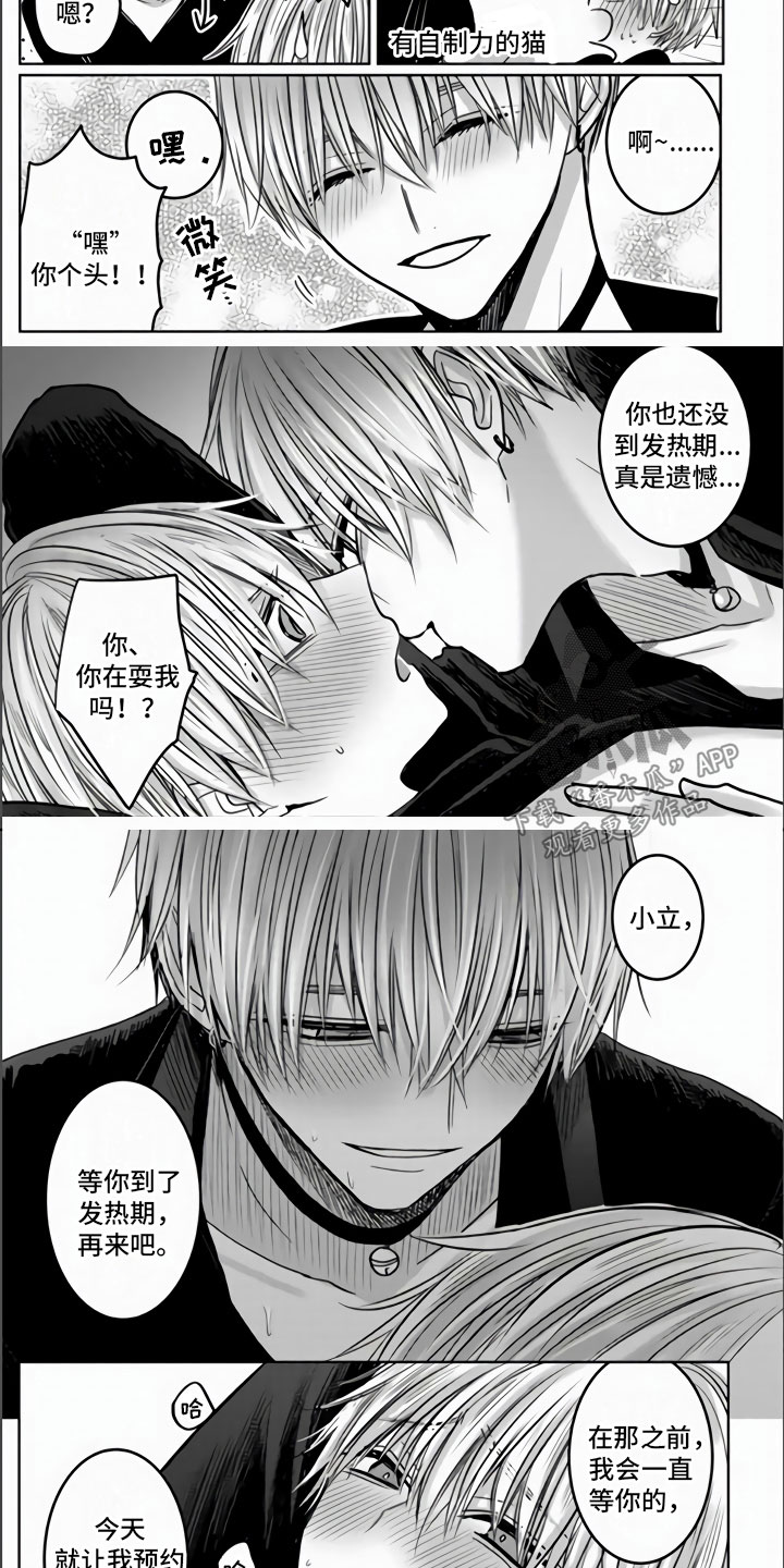 第5话：第5章：全世界最喜欢预览分镜