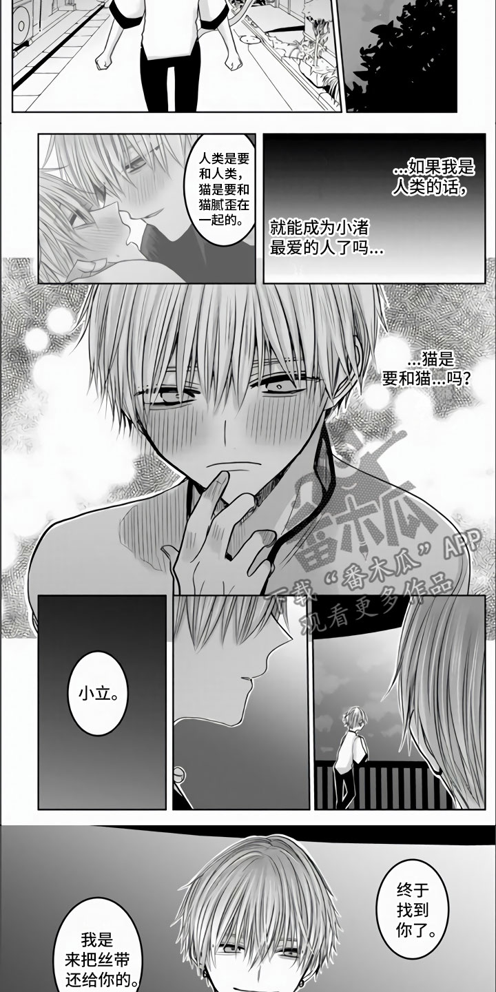 第7话：第7章：心跳加速预览分镜