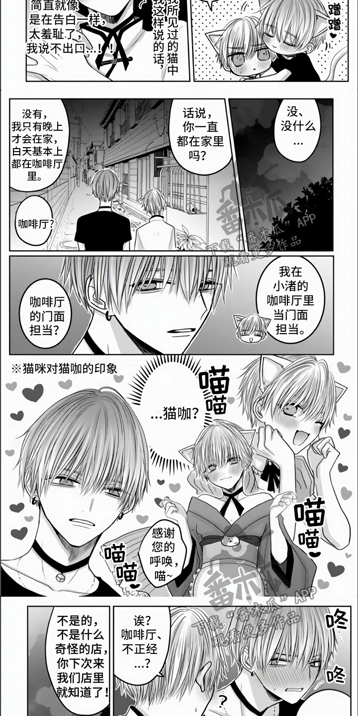 第8话：第8章：被抓住了预览分镜