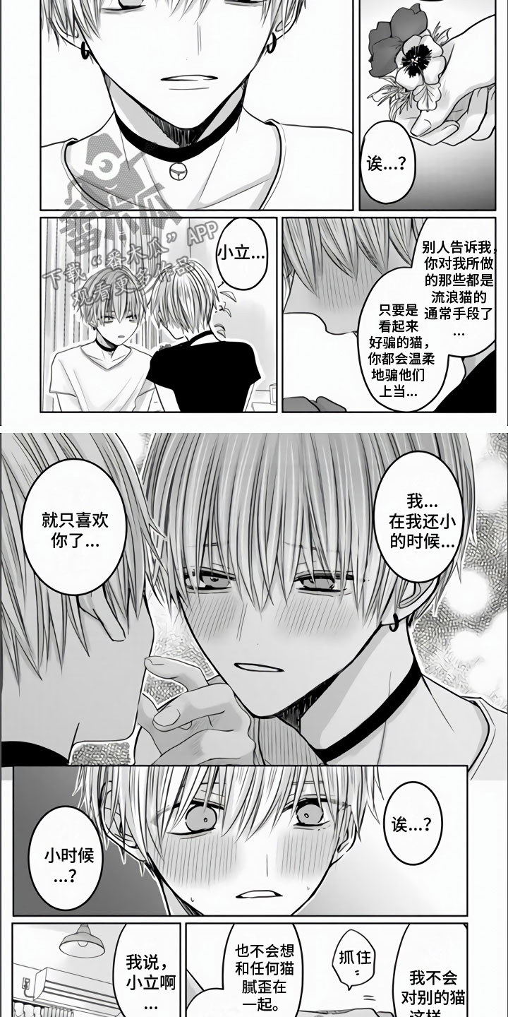 第12话：第12章：主人不在家预览分镜