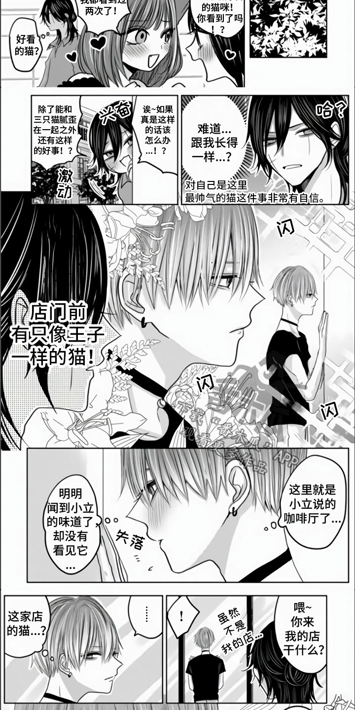 第14话：第14章：一起去玩吧预览分镜
