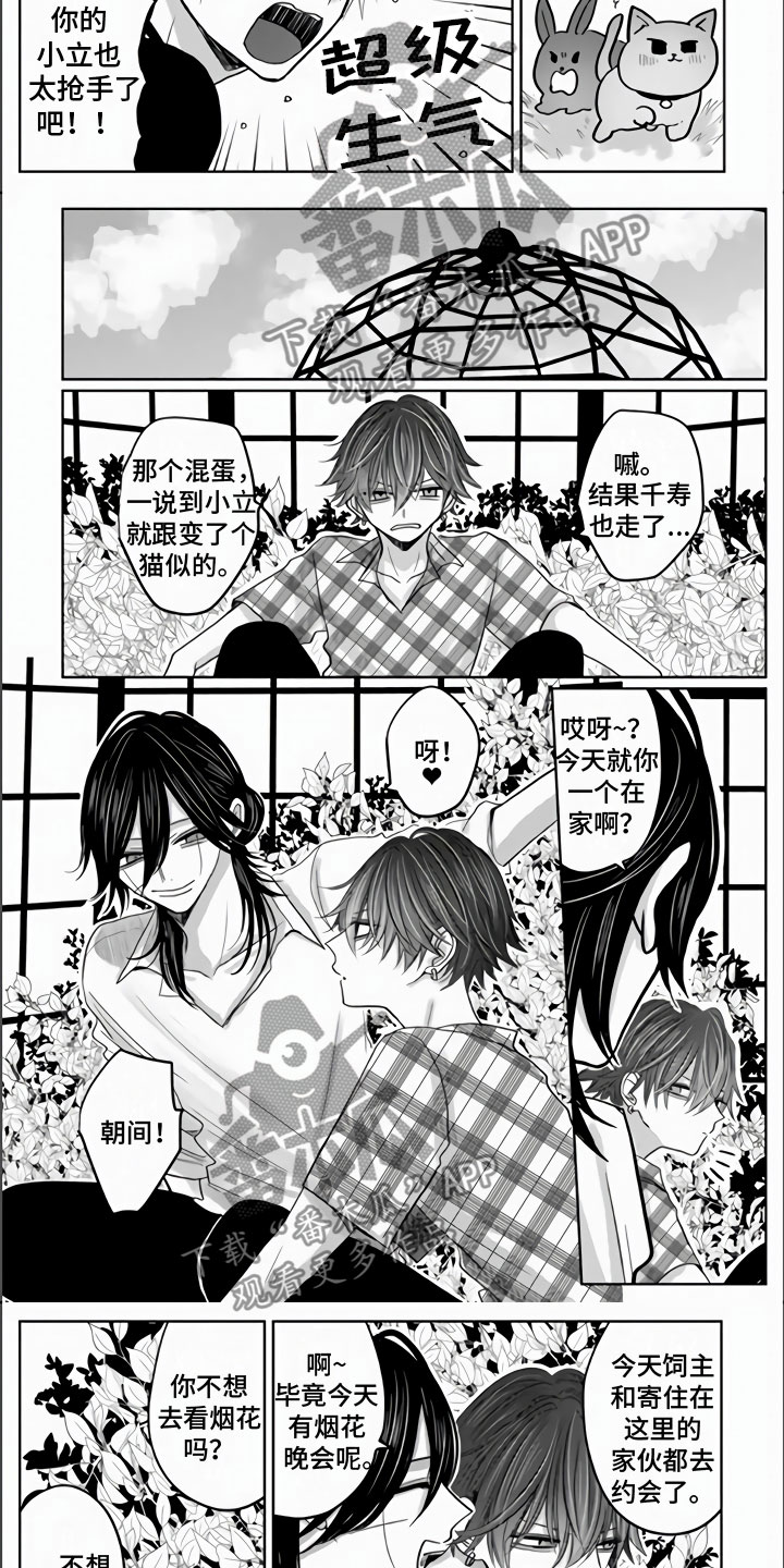 第18话：第18章：兔子与猫预览分镜