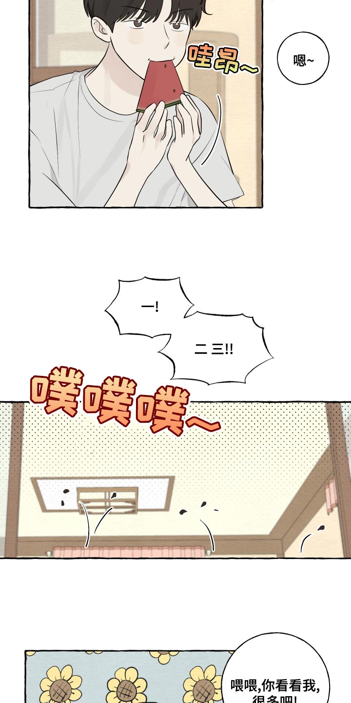 第17话：吐西瓜籽预览分镜