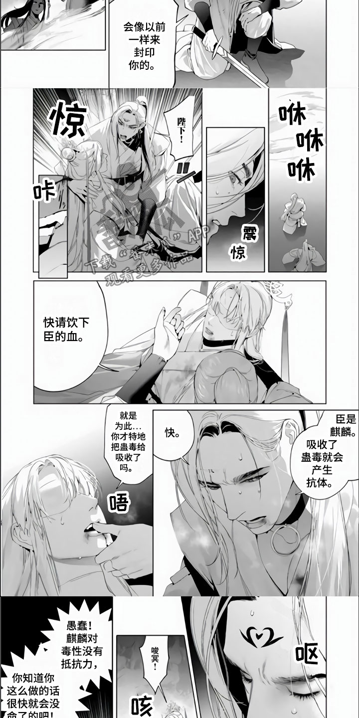 第14话：第14章：若来世预览分镜