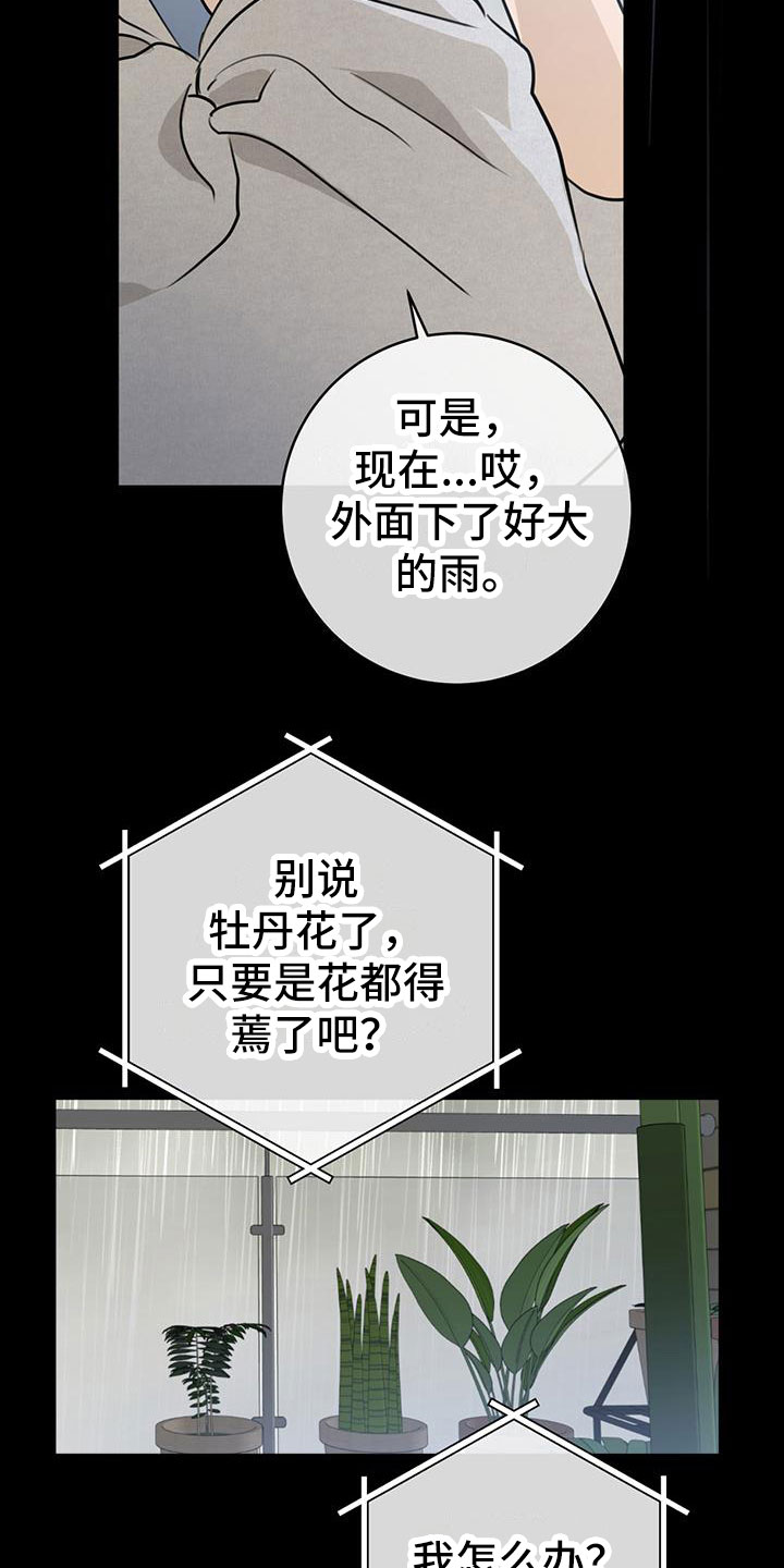 第15话：第15章：为什么预览分镜