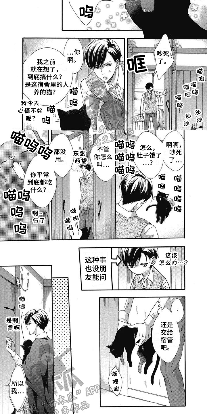 第7话：第7章：理由预览分镜
