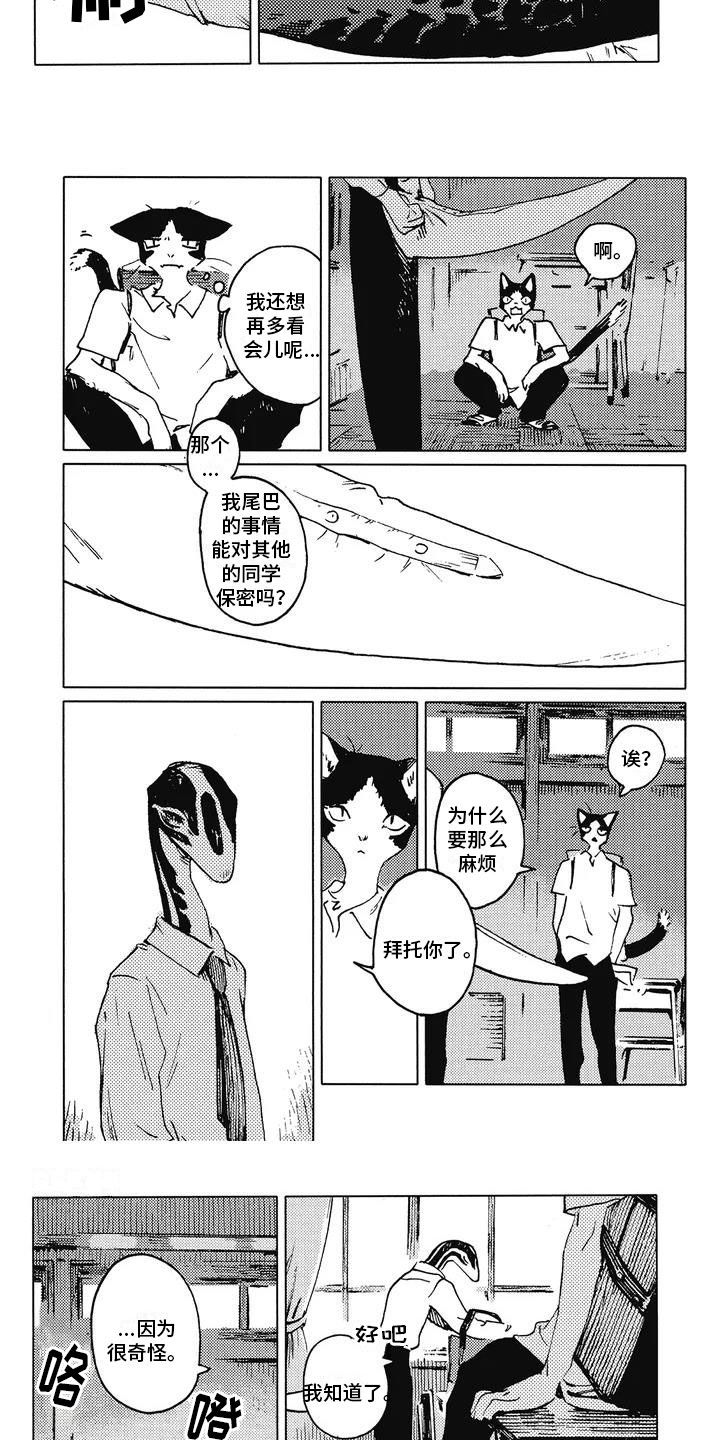 第3话：第3章：饶有兴趣预览分镜