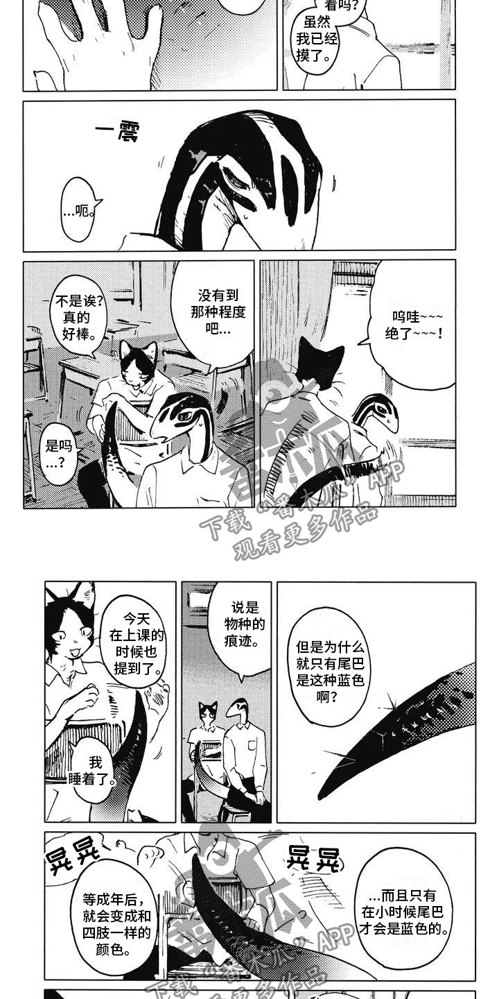 第5话：第5章：摸尾巴预览分镜