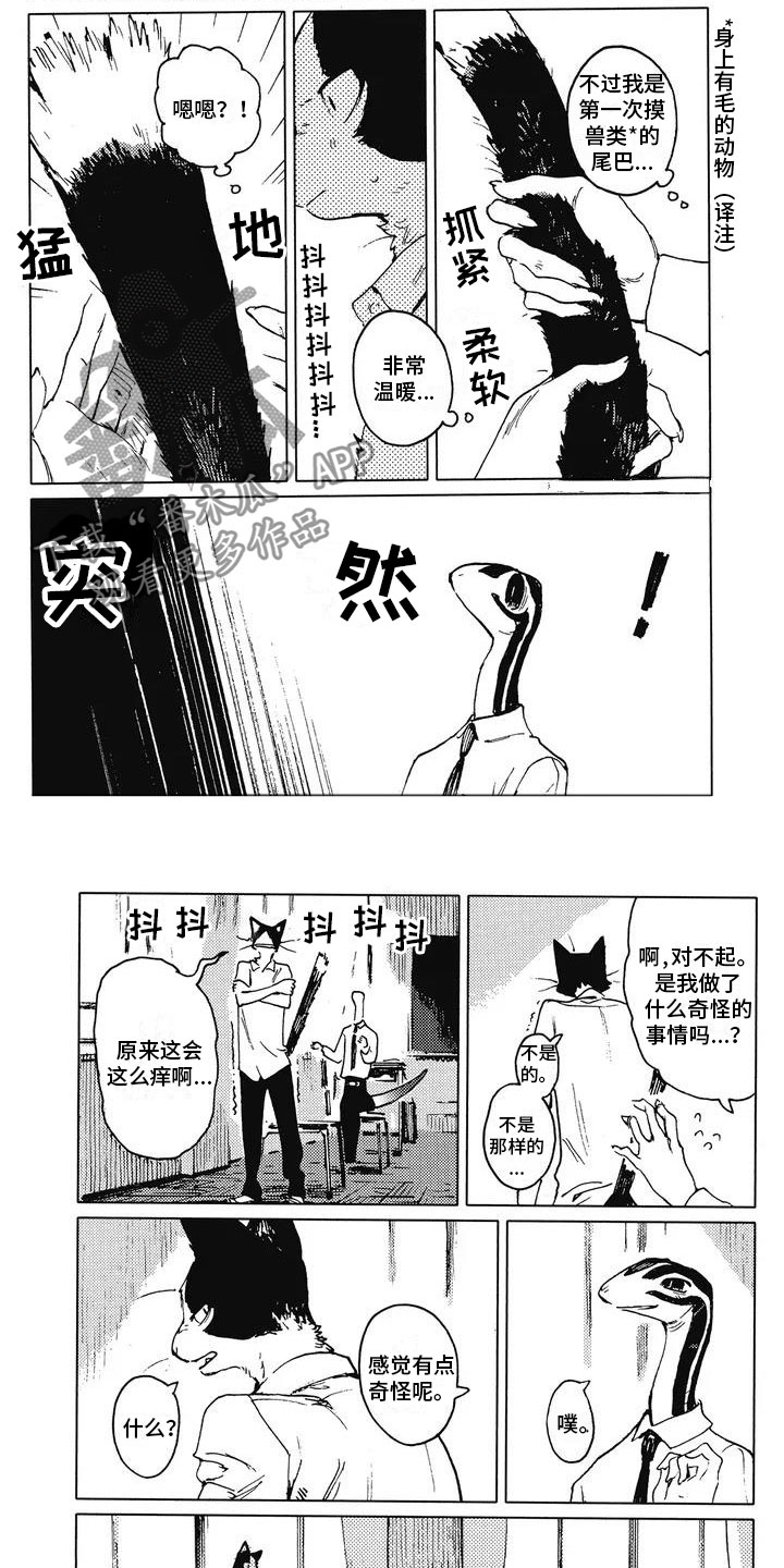 第6话：第6章：交换名字预览分镜