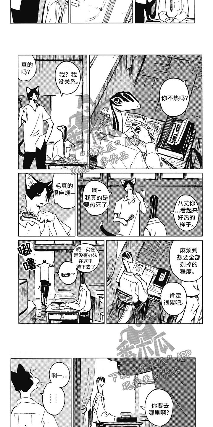 第7话：第7章：邀请预览分镜