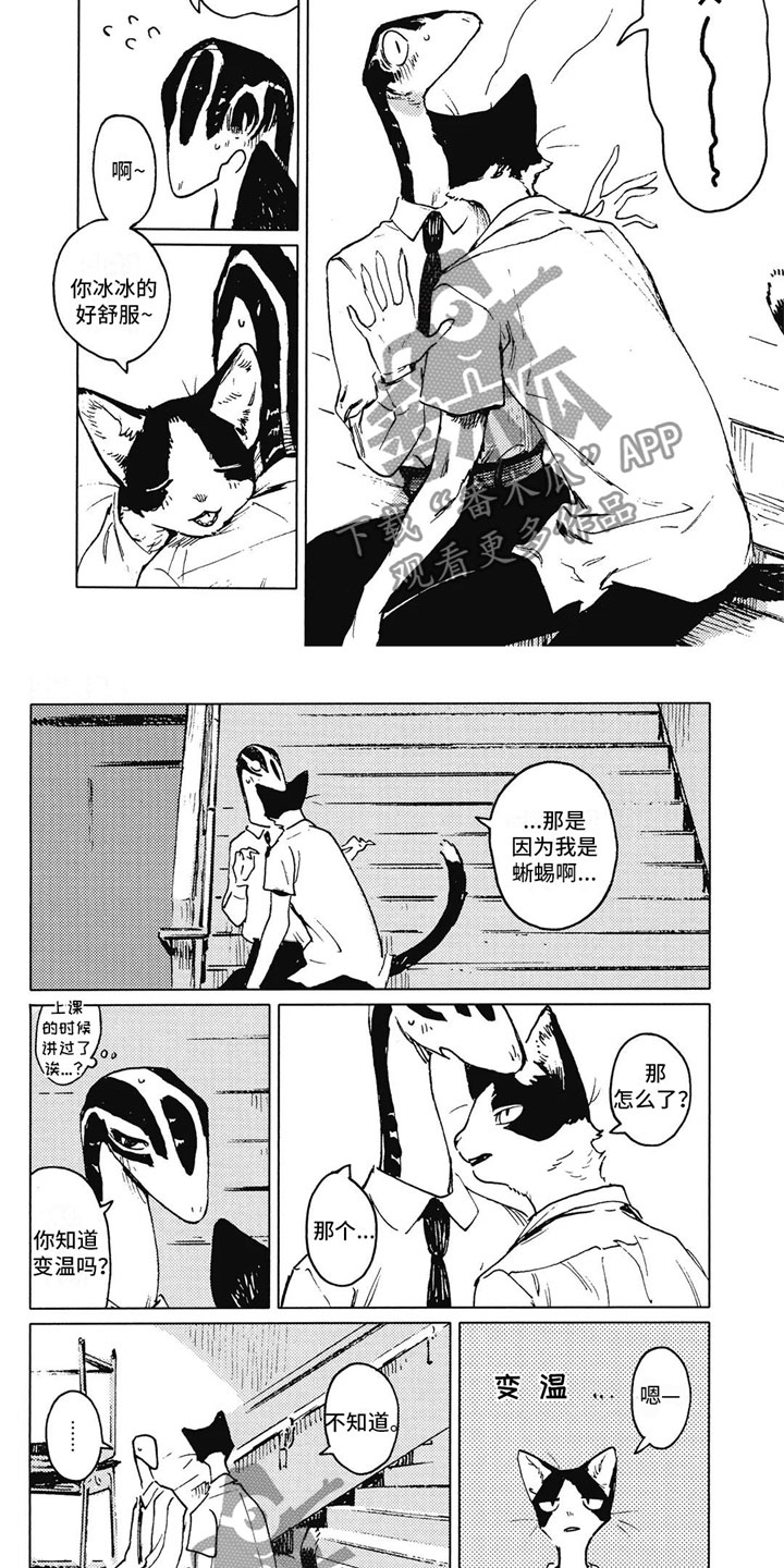 第8话：第8章：变温预览分镜