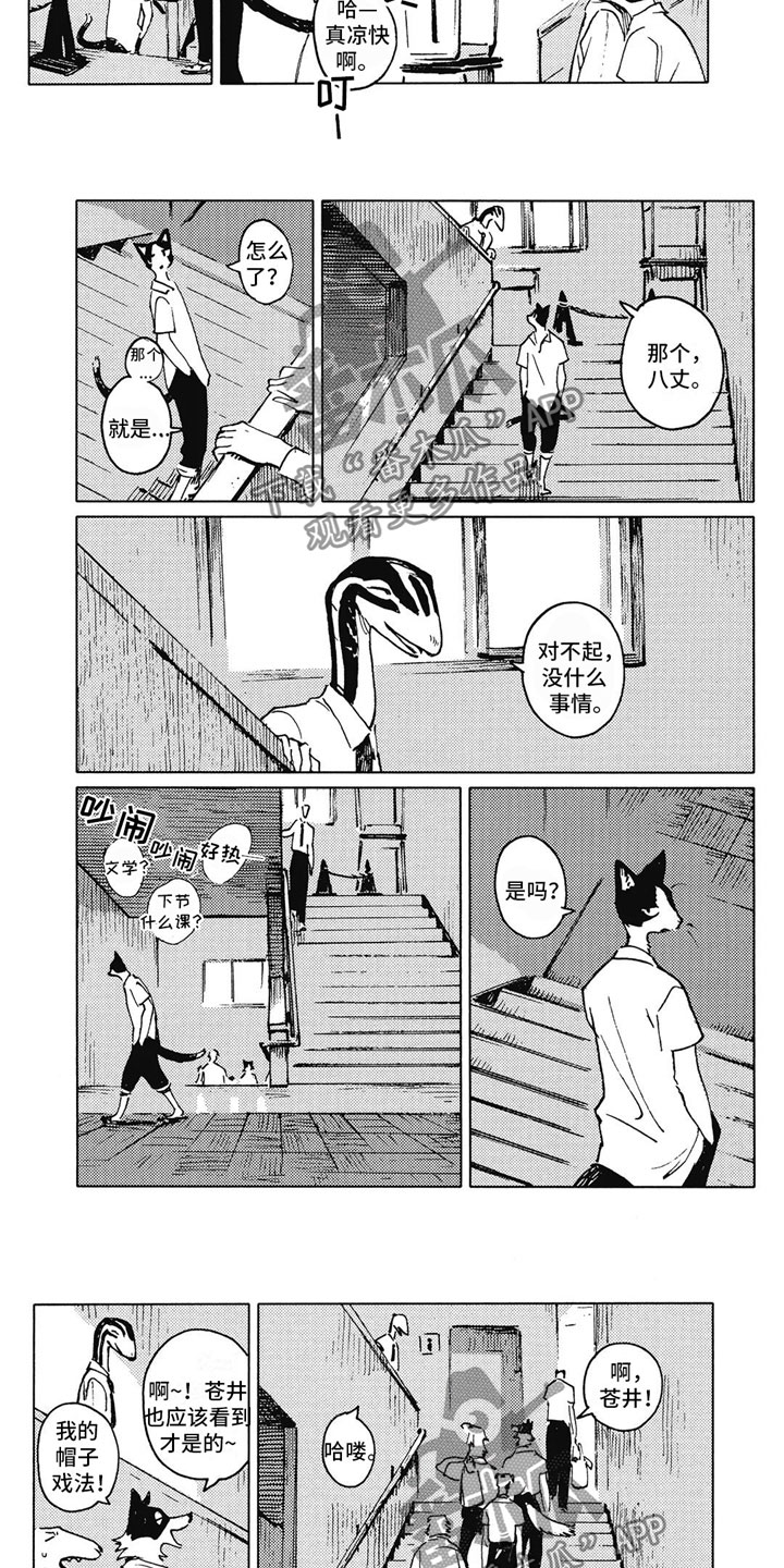 第9话：第9章：害羞预览分镜