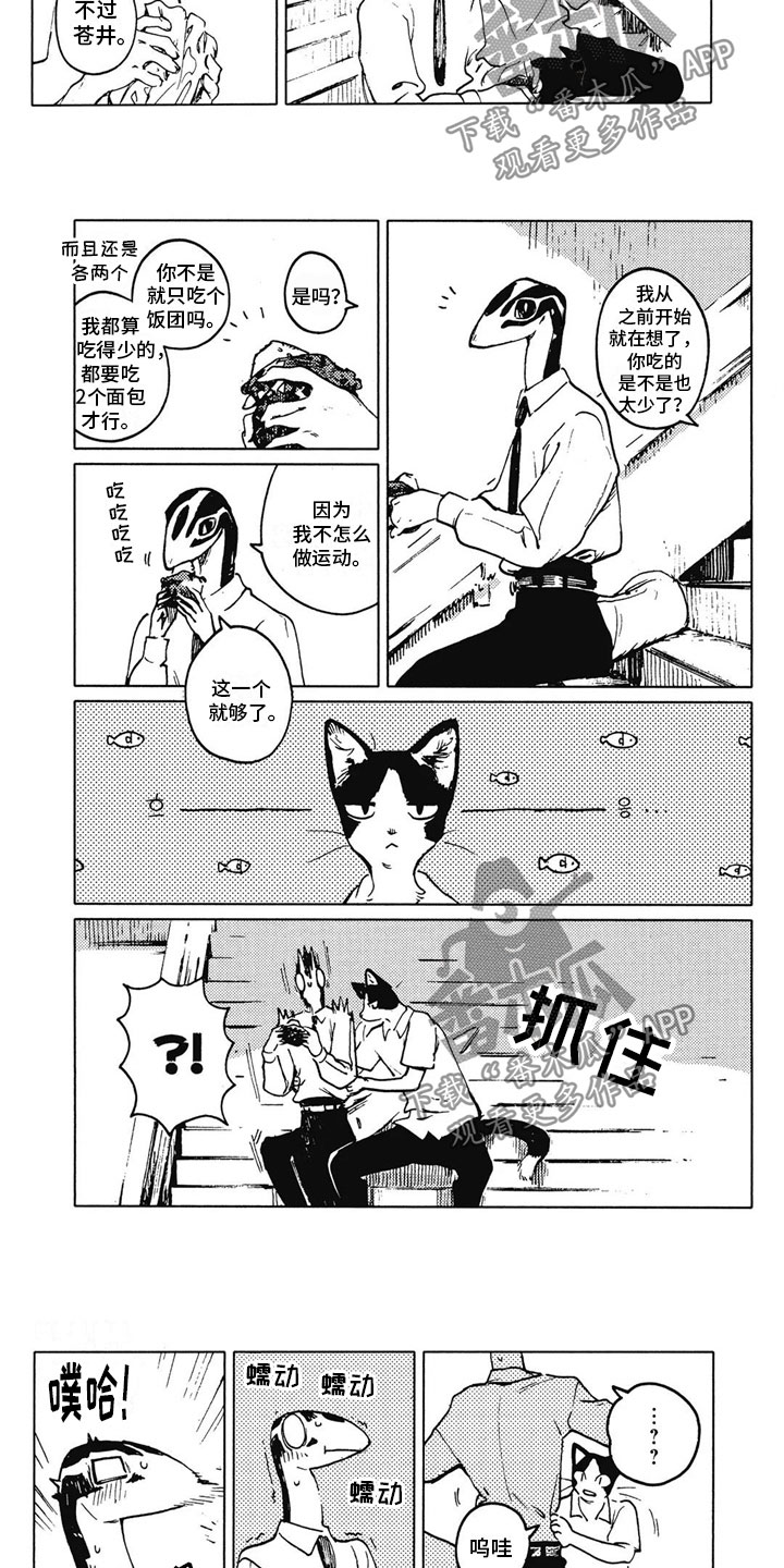 第10话：第10章：不讨厌预览分镜