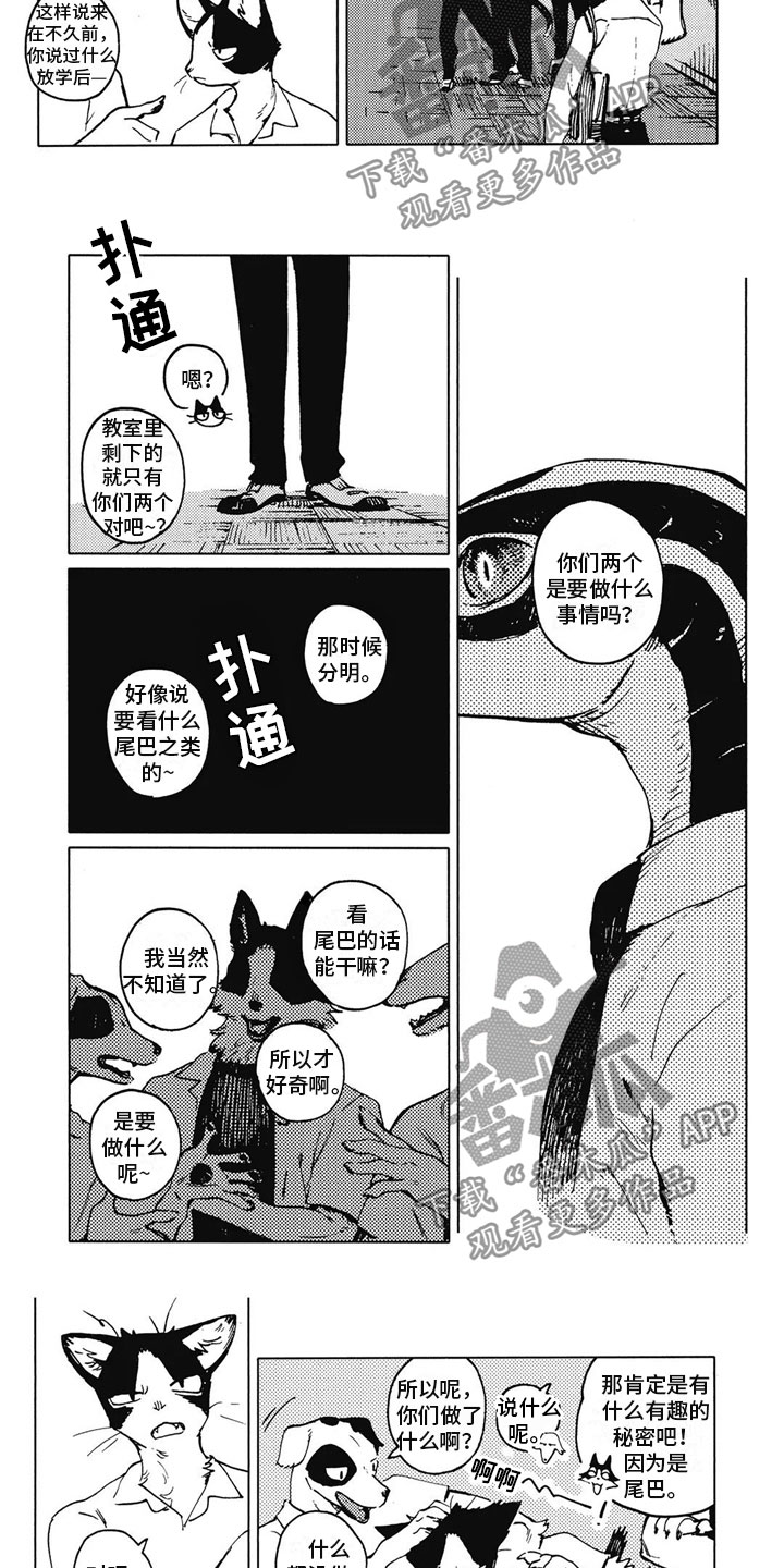 第14话：第14章：好奇预览分镜