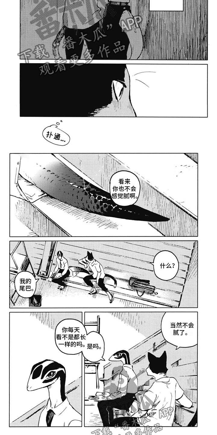 第16话：第16章：能相信吗？预览分镜