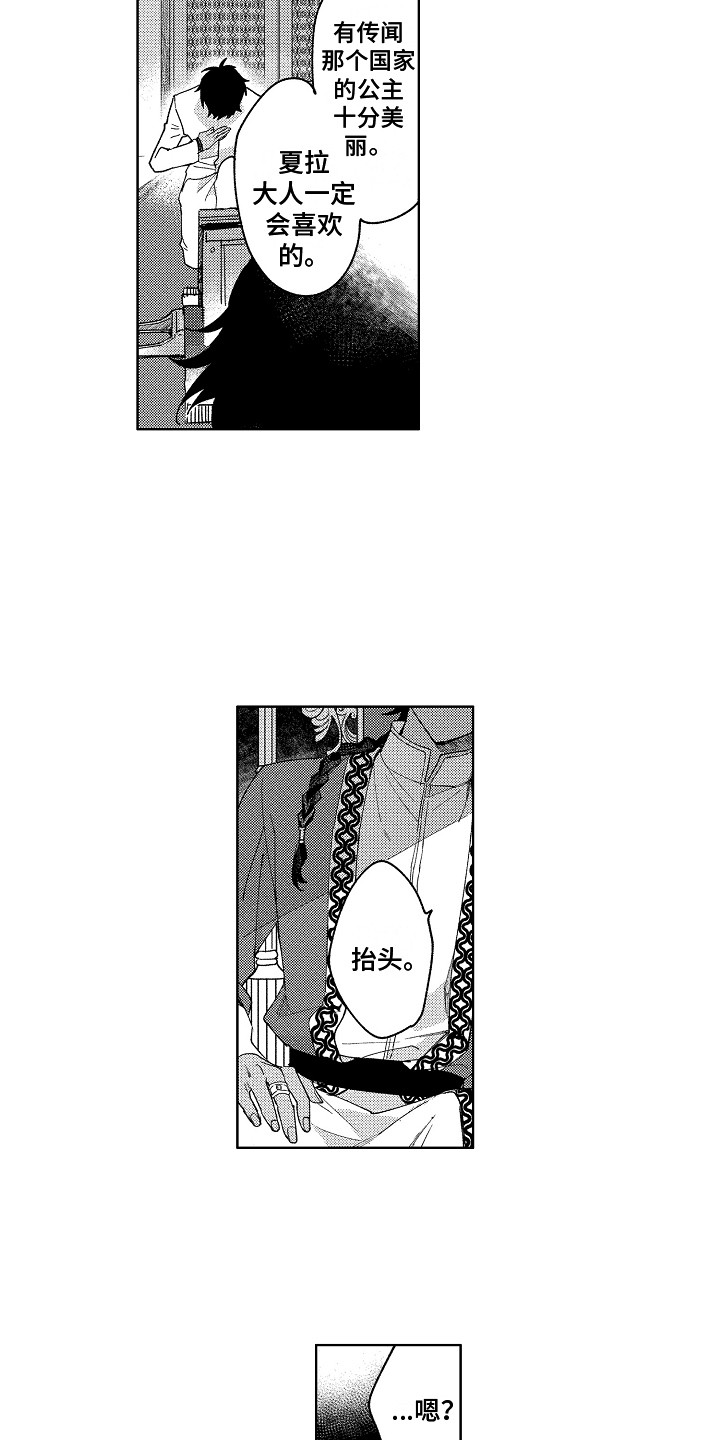 第1话：第1章：王位继承者预览分镜