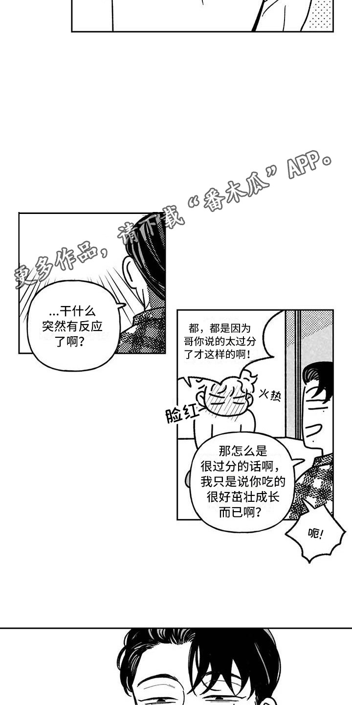 第6话：第6章：专业的预览分镜