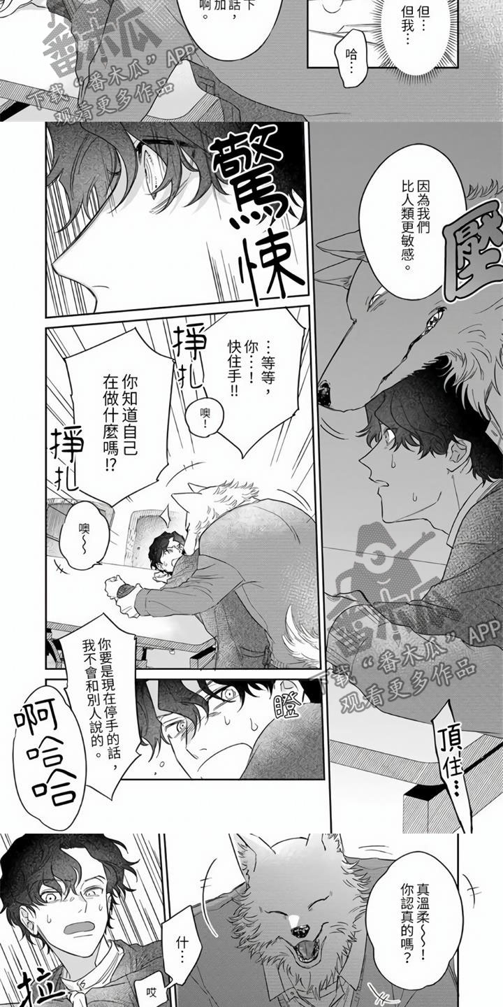 第11话：第11章：糟糕的学生预览分镜