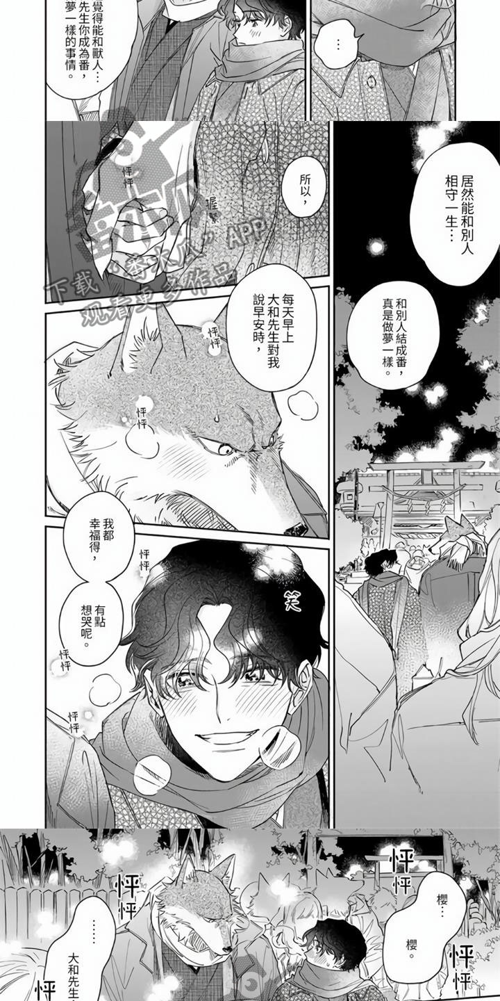 第14话：第14章：和我结婚吧预览分镜