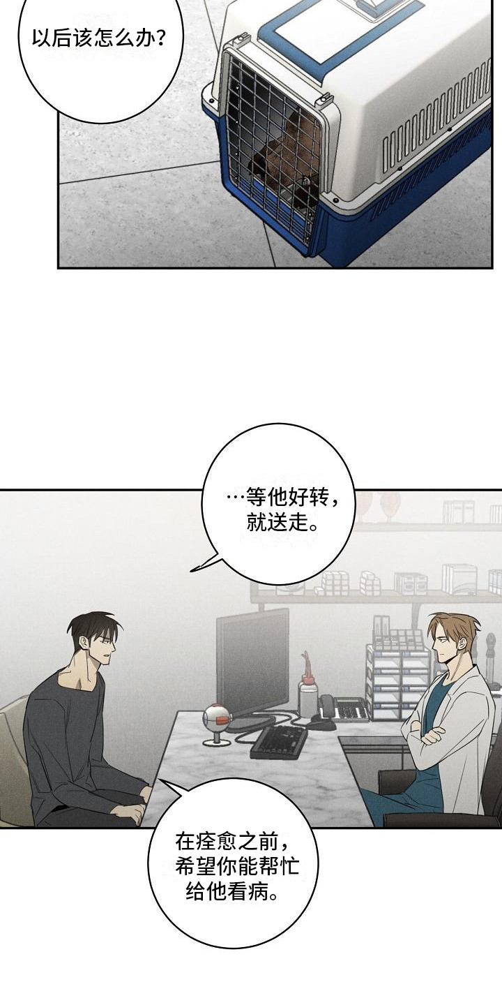 第7话：第7章：换药预览分镜