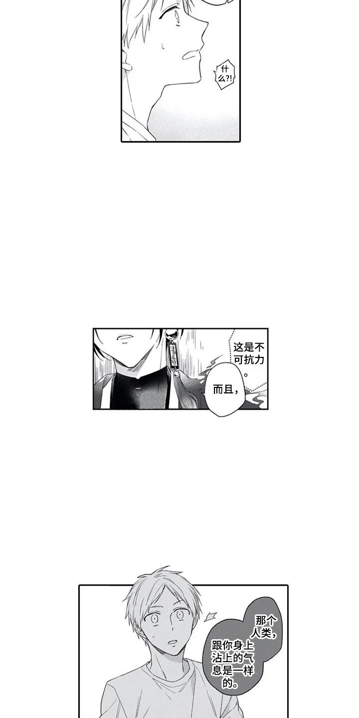 第14话：第14章：嫉妒心预览分镜