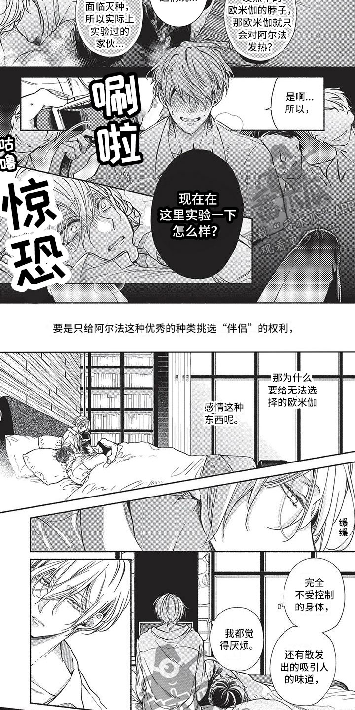第8话：第8章：是我们的预览分镜