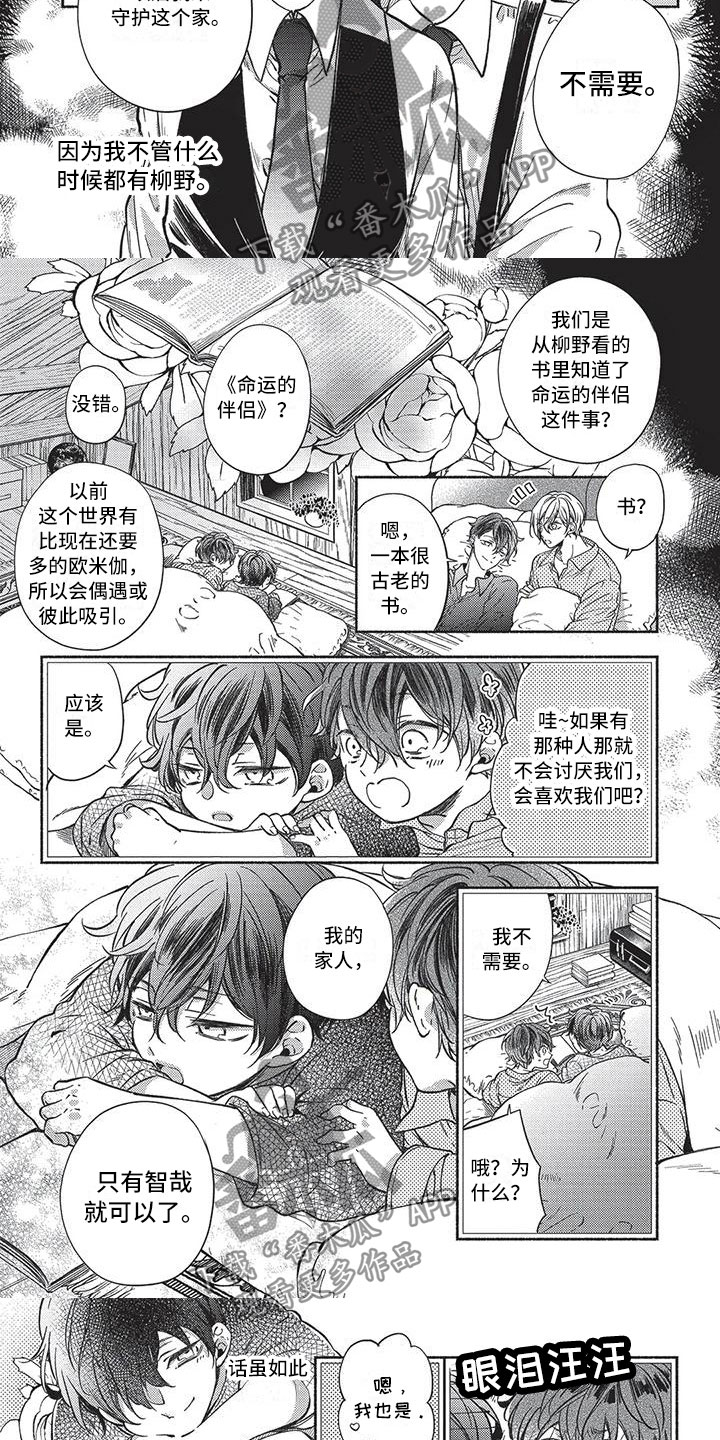 第14话：第14章：他们的故事预览分镜
