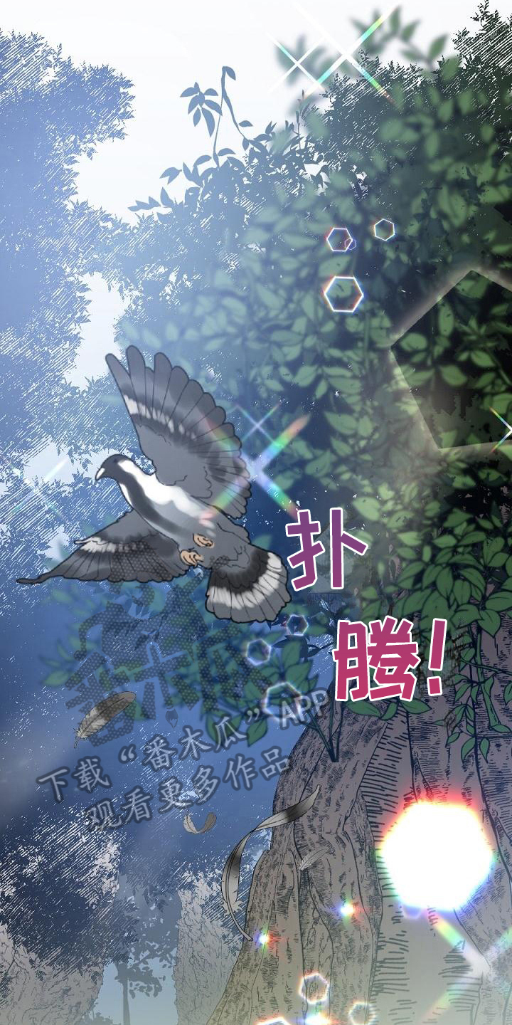 第17话：第17章：用什么报恩呢：山神预览分镜