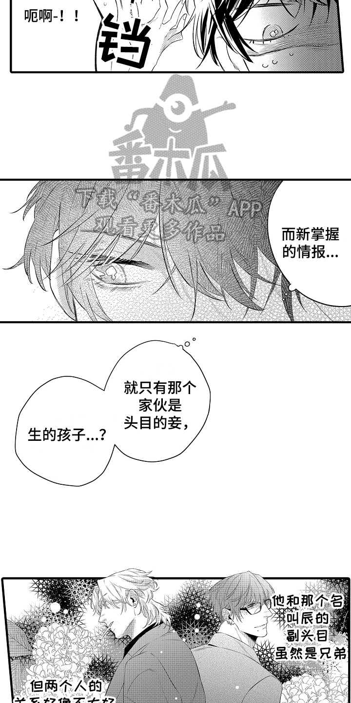 第12话：第12章：强行带走预览分镜