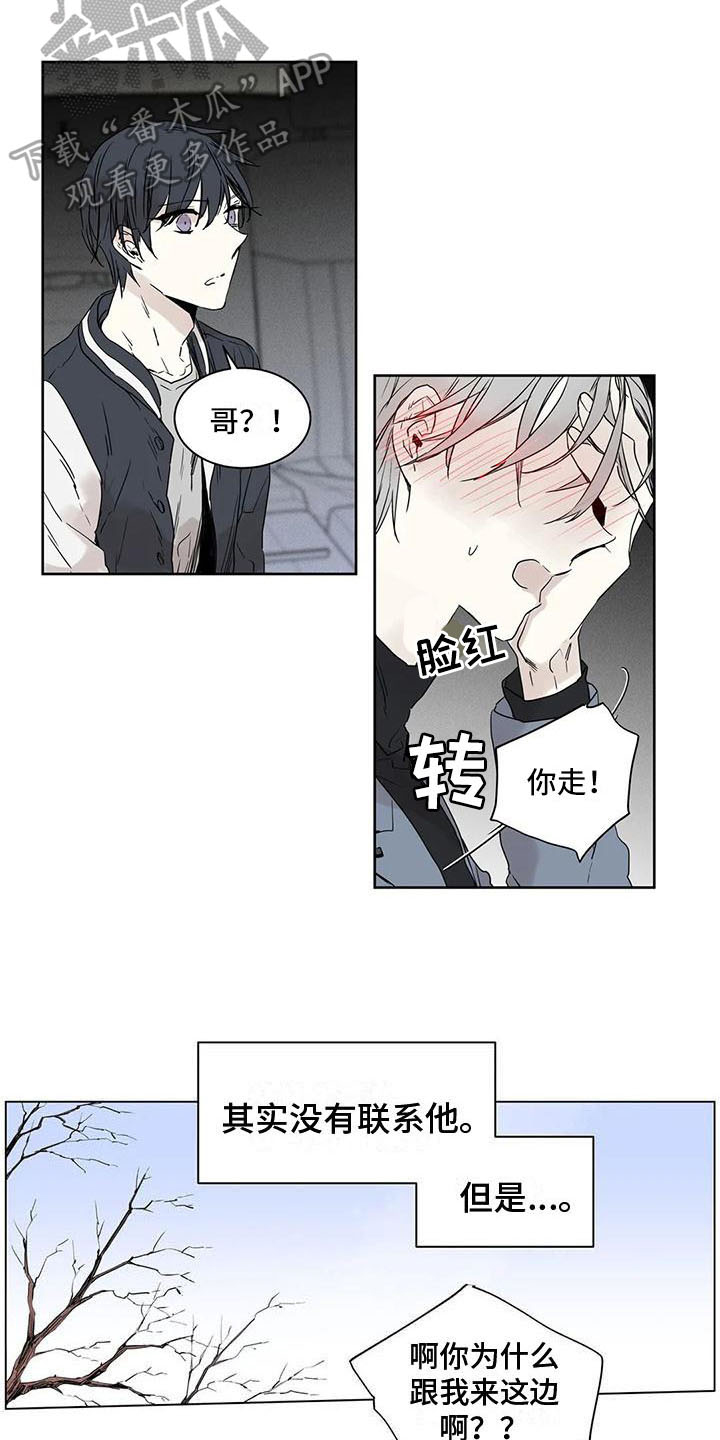 第12话：第12章：亲近预览分镜