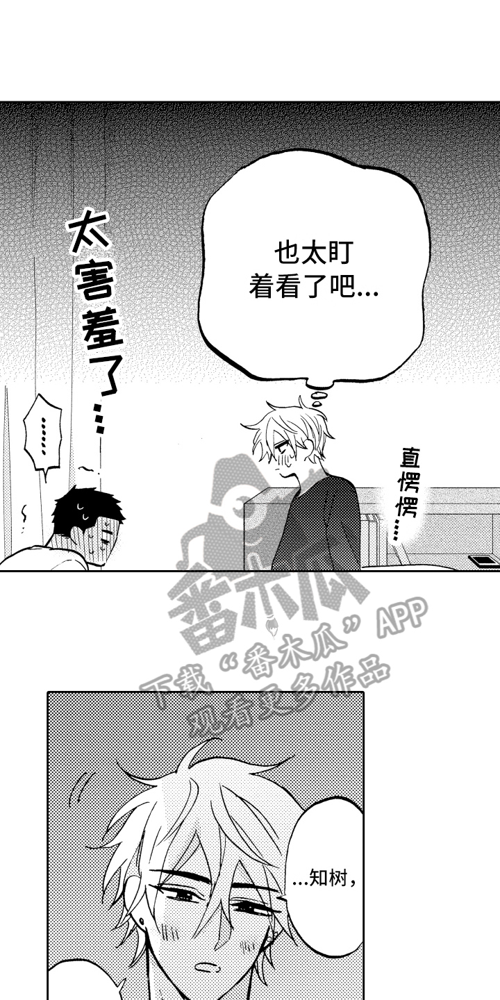 第15话：第15章：担心预览分镜