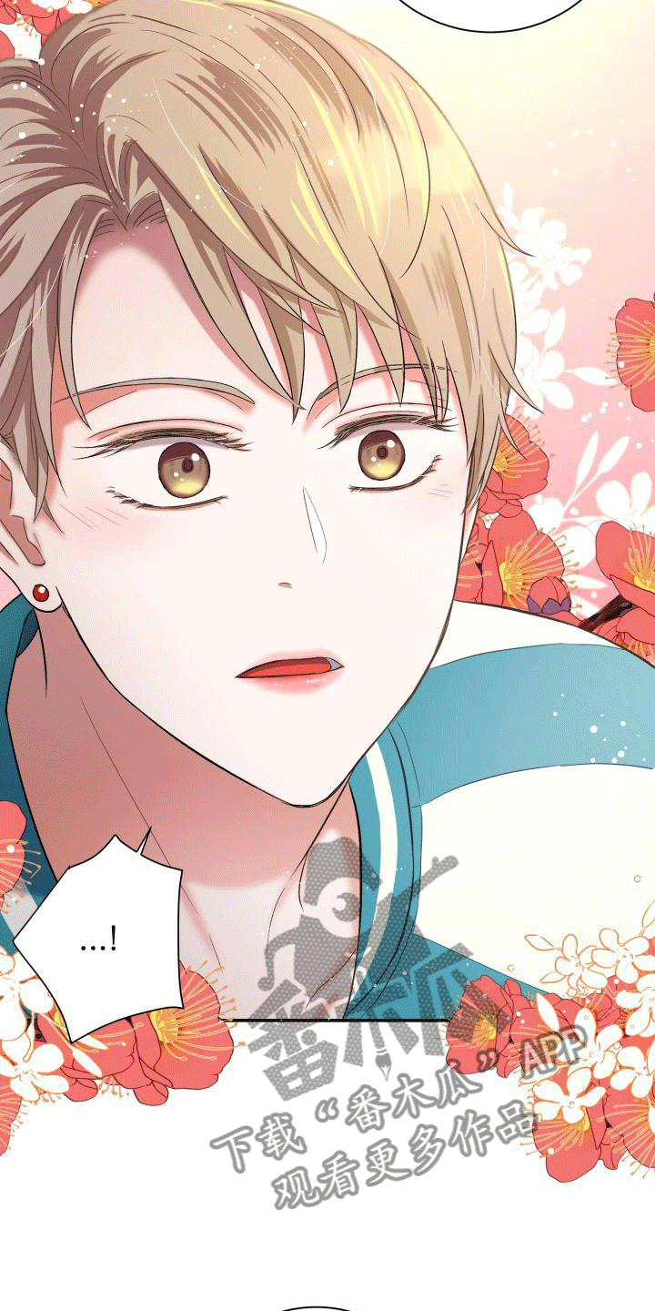 第7话：第7章：喜欢的类型预览分镜
