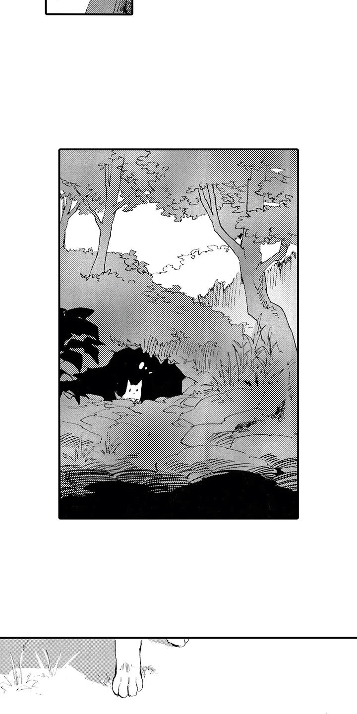 第11话：第11章：那个人在哪？预览分镜