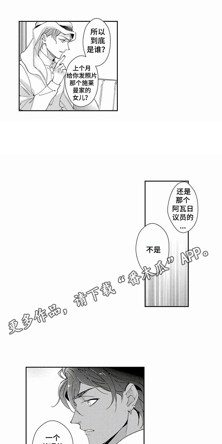 第13话：第13章：就是本人预览分镜