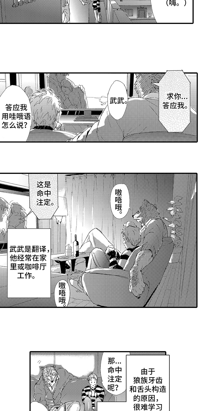 第3话：第3章：喜欢预览分镜