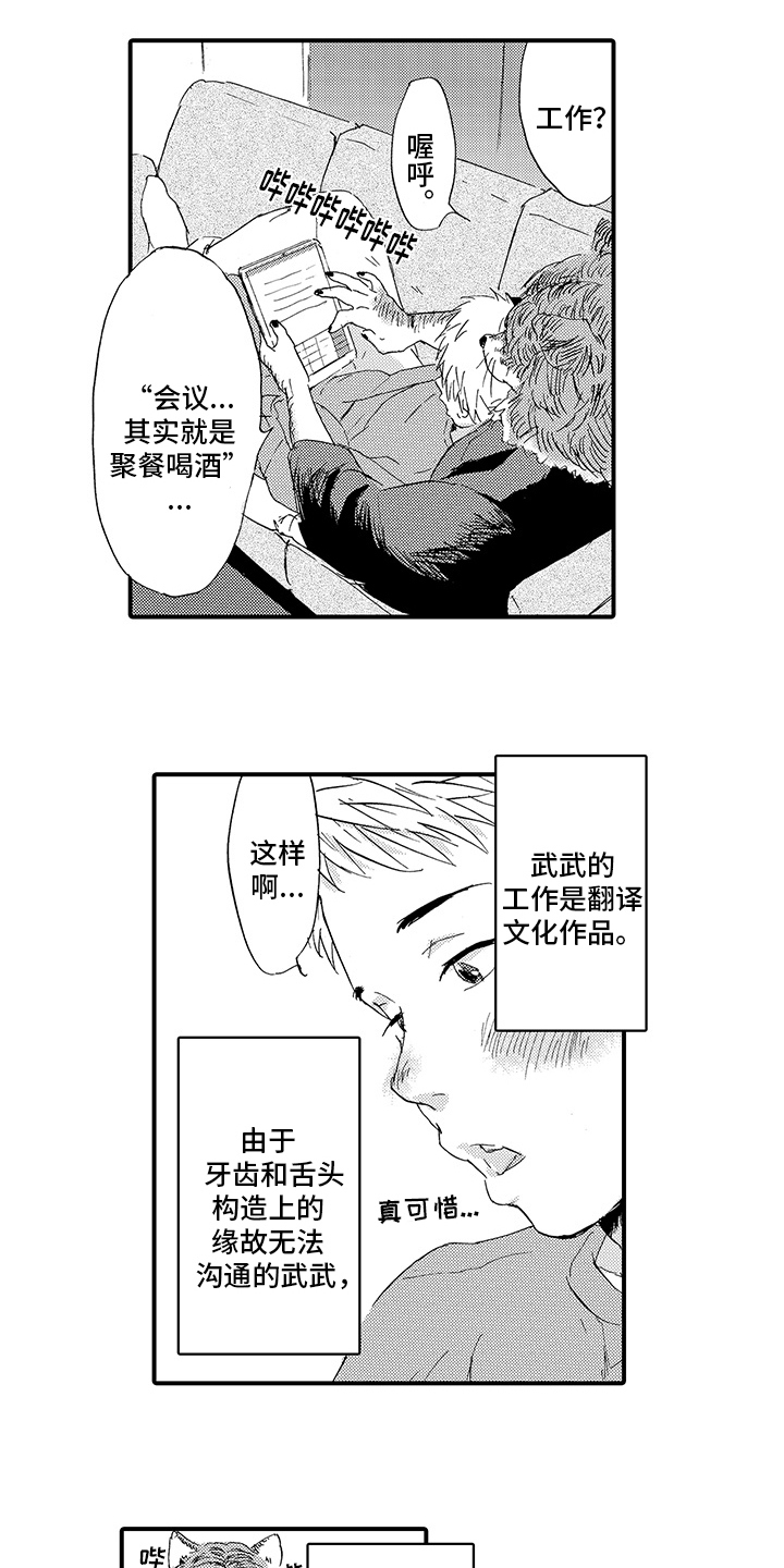 第5话：第5章：评价预览分镜
