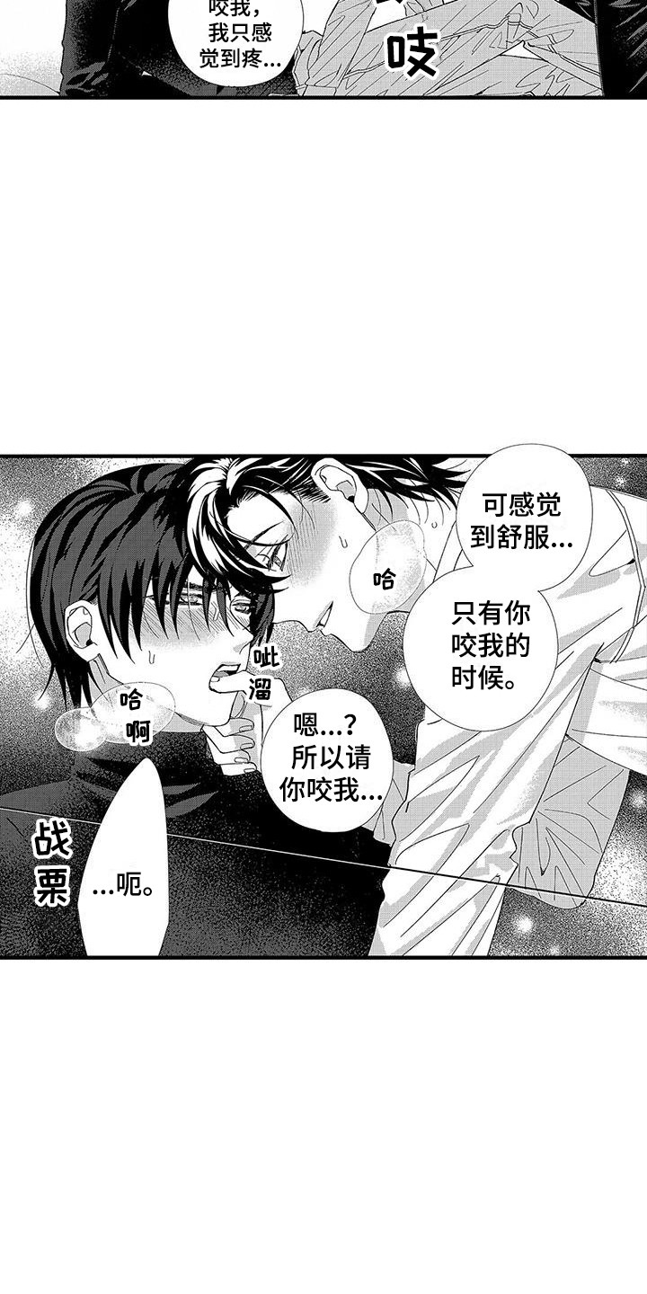 第4话：第4章：命令词预览分镜