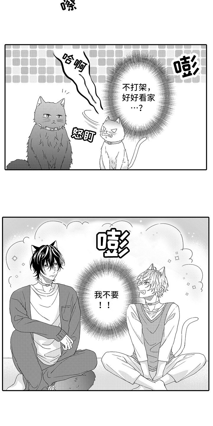 第1话：第1章：两只小猫预览分镜