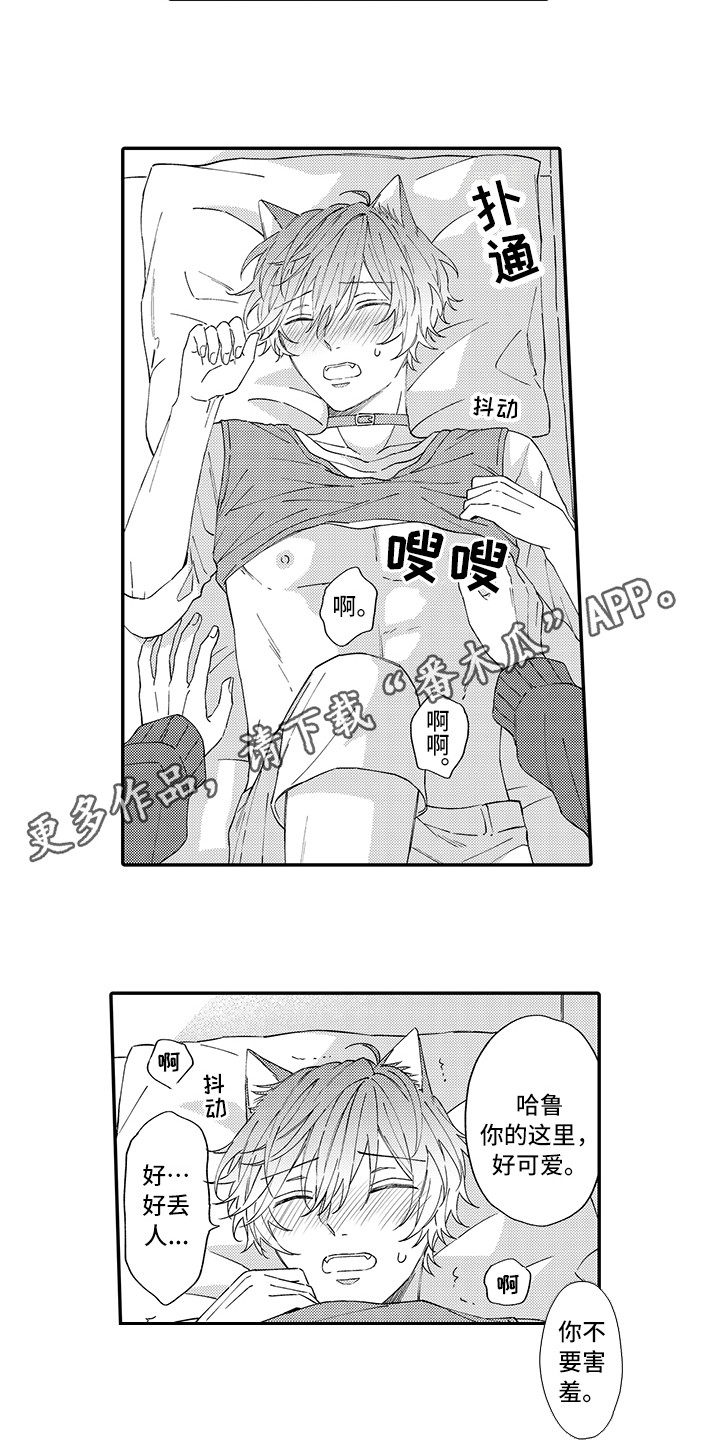 第11话：第11章：很开心预览分镜