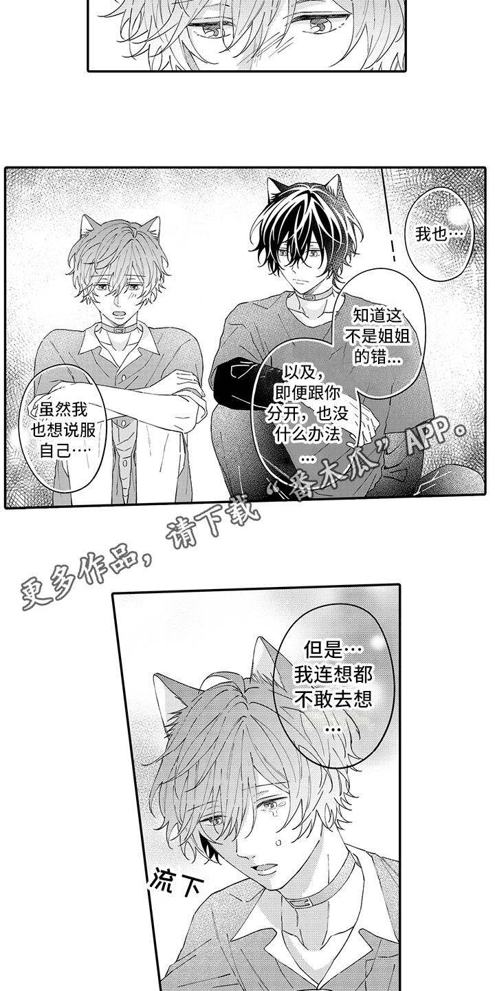第16话：第16章：私奔预览分镜