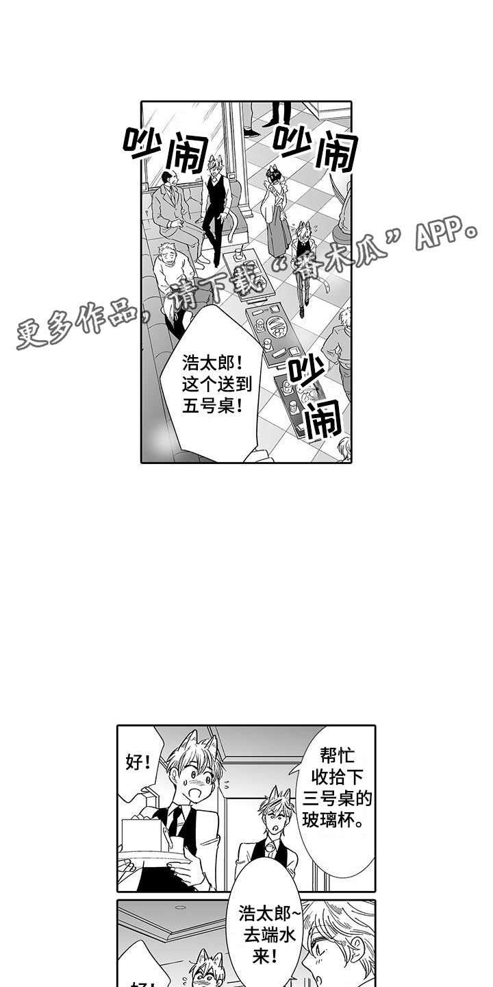 第7章:营业表演