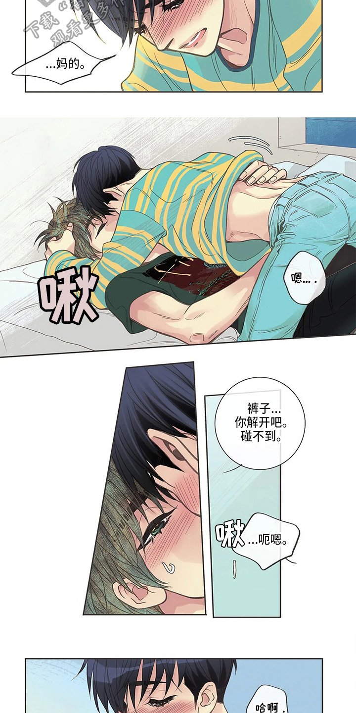第17话：第17章：疑惑预览分镜