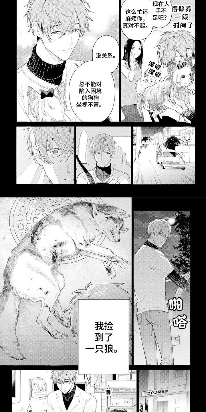 第1话：第1章：可爱的狼人预览分镜