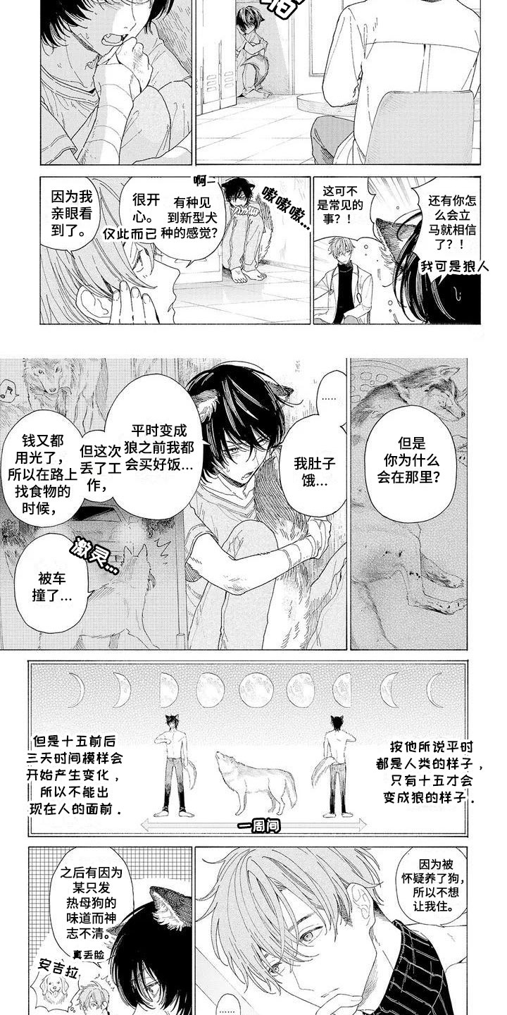 第2话：第2章：再次光临预览分镜