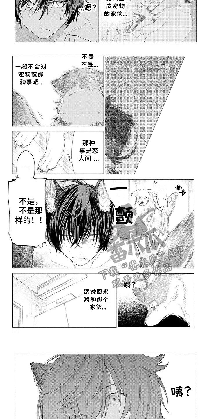 第11话：第11章：心跳加速预览分镜