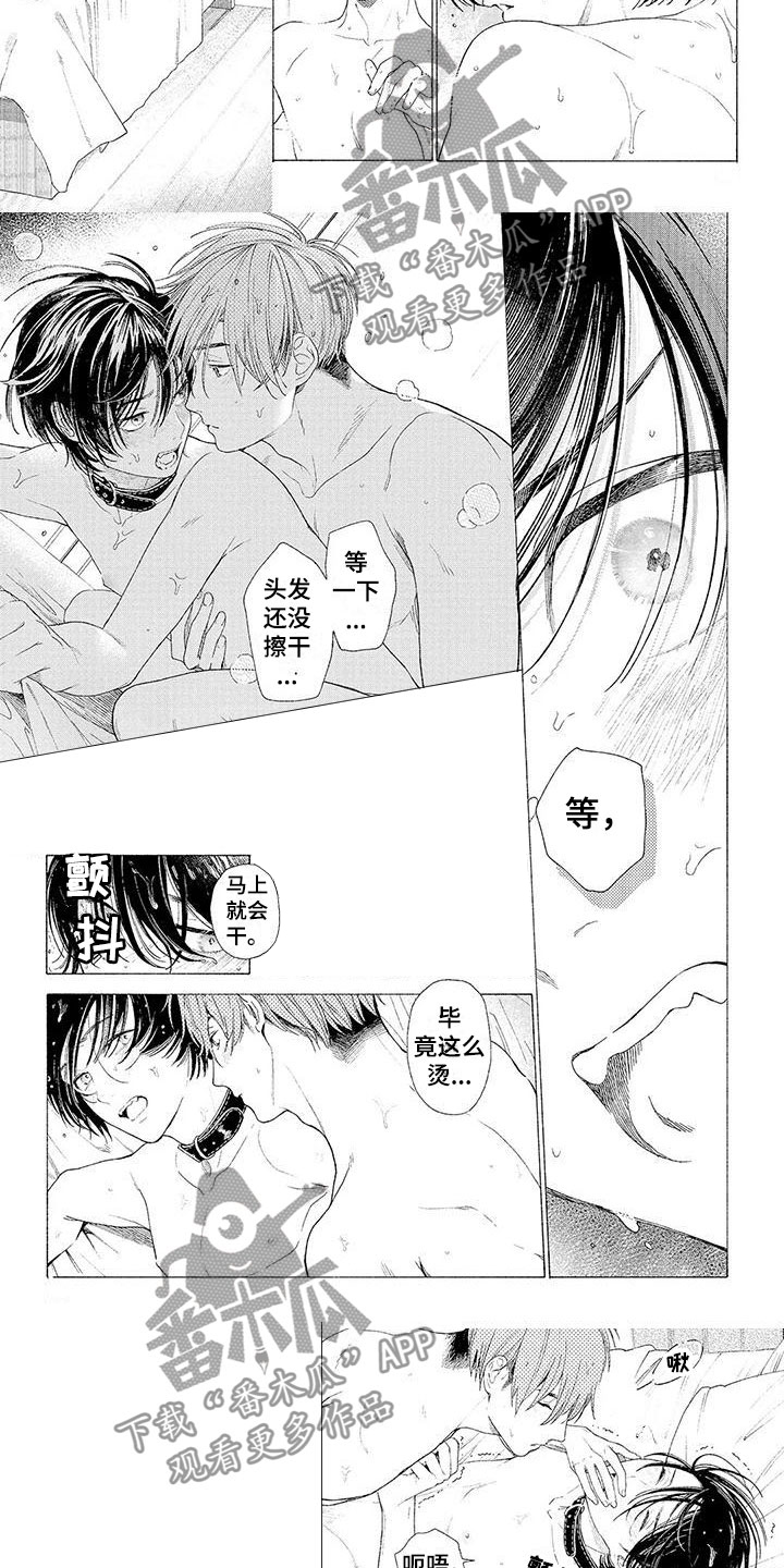 第16话：第16章：不要走预览分镜