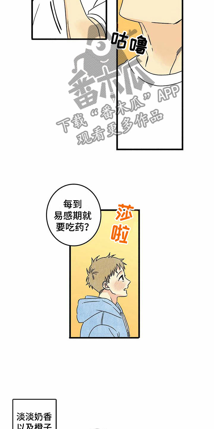 第6话：第6章：橙子香味预览分镜