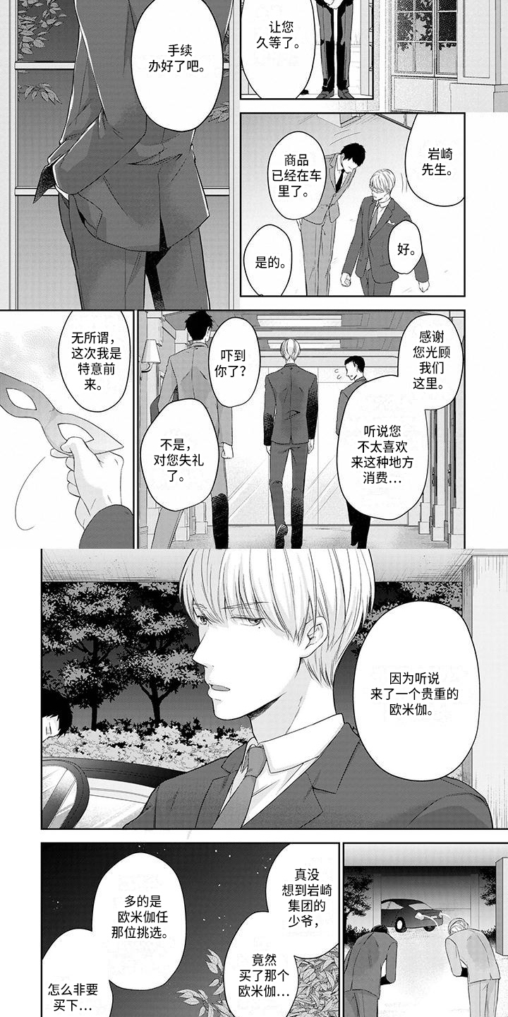 第2话：第2章：拍卖预览分镜