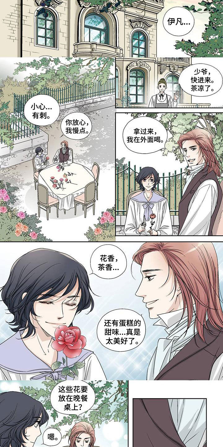 第2话：第2章：第一束光预览分镜