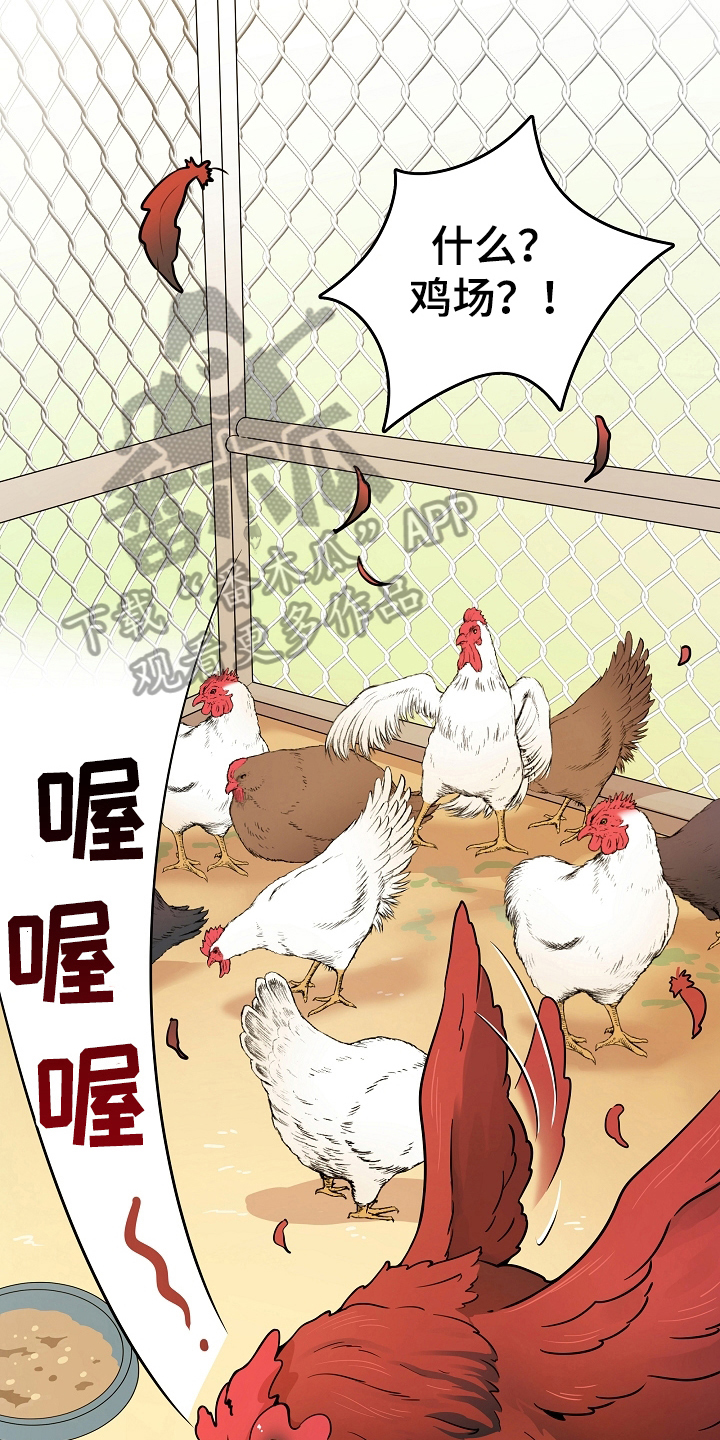 第7话：第7章：掏鸡蛋预览分镜
